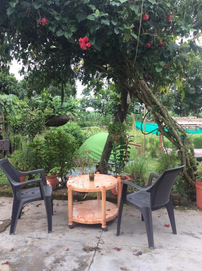 Sun N Soil Backpacker Hostel Lachhiwala Екстериор снимка