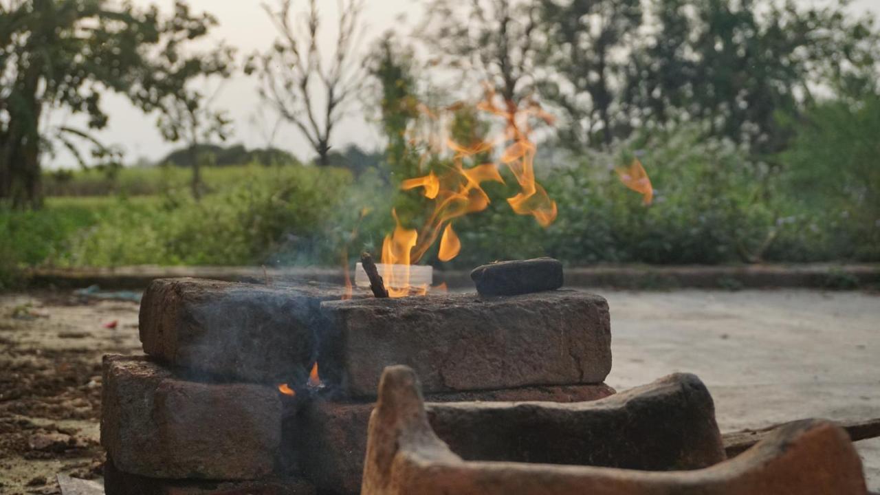Sun N Soil Backpacker Hostel Lachhiwala Екстериор снимка