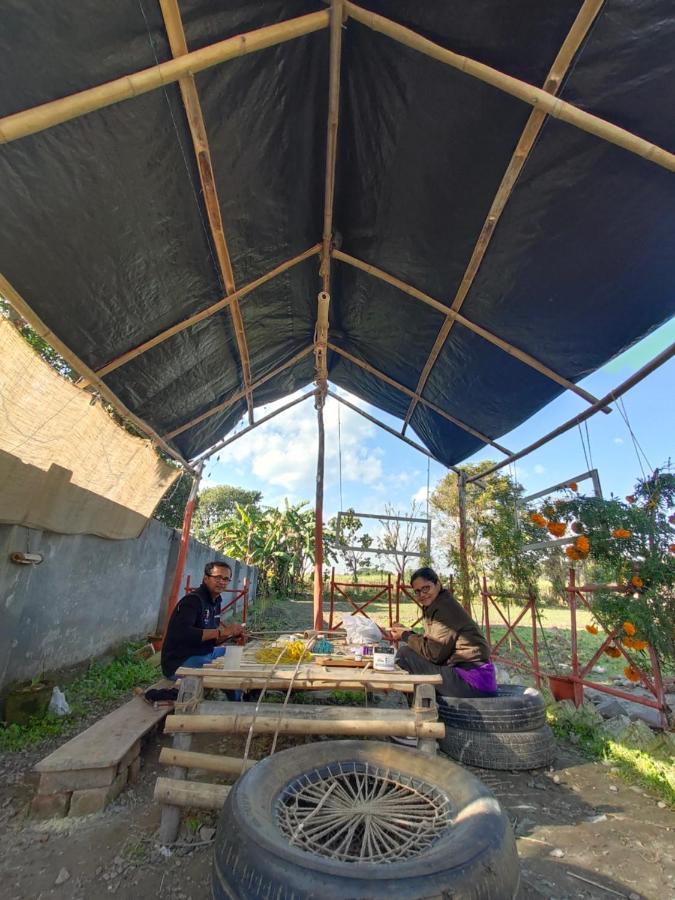 Sun N Soil Backpacker Hostel Lachhiwala Екстериор снимка